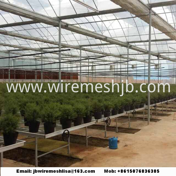 Galvanized Welded Wire Mesh Greenhouse Rolling Benches